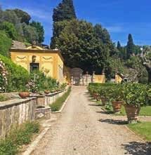 ANNA� MAZZINI  - Asta Asta a tempo AIRC - Associazione Nazionale - Case d'Asta italiane