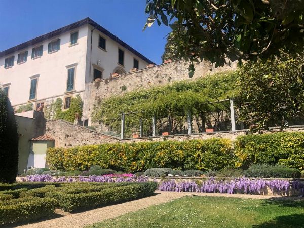 ANNA� MAZZINI  - Asta Asta a tempo AIRC - Associazione Nazionale - Case d'Asta italiane