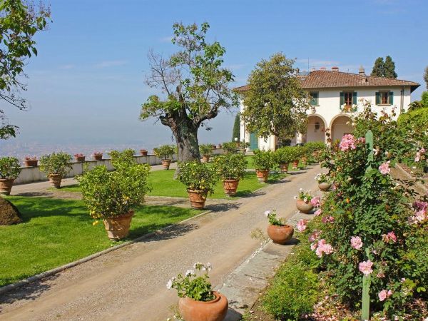 ANNA� MAZZINI  - Asta Asta a tempo AIRC - Associazione Nazionale - Case d'Asta italiane