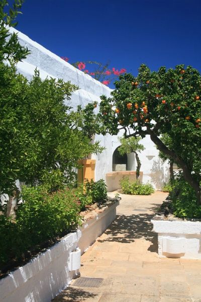 MASSERIA IL MELOGRANO - Monopoli (Bari)  - Asta Asta a tempo AIRC - Associazione Nazionale - Case d'Asta italiane