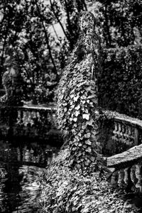 MARCO PAOLI  - Asta Asta a tempo AIRC - Associazione Nazionale - Case d'Asta italiane