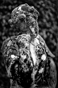 MARCO PAOLI  - Asta Asta a tempo AIRC - Associazione Nazionale - Case d'Asta italiane