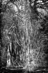 MARCO PAOLI  - Asta Asta a tempo AIRC - Associazione Nazionale - Case d'Asta italiane