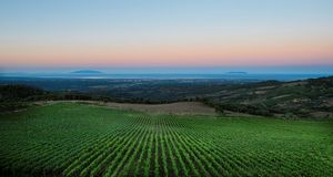 TENUTA PRIMA PIETRA, Riparbella (Pisa)  - Asta Asta a tempo AIRC - Associazione Nazionale - Case d'Asta italiane