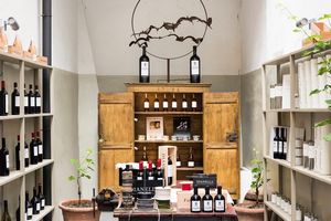 FRANCESCO e VERONICA PASSERIN D'ENTR�VES  - Asta Asta a tempo AIRC - Associazione Nazionale - Case d'Asta italiane