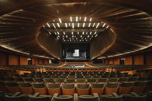 TEATRO DEL MAGGIO MUSICALE FIORENTINO  - Asta Asta a tempo AIRC - Associazione Nazionale - Case d'Asta italiane