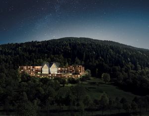 LEFAY RESORT a scelta se Lago di Garda o Dolomiti  - Asta Asta a tempo AIRC - Associazione Nazionale - Case d'Asta italiane
