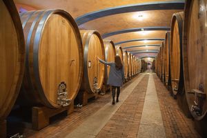 FONTANAFREDDA VILLAGGIO NARRANTE - TENUTA VITIVINICOLA  - Asta Asta a tempo AIRC - Associazione Nazionale - Case d'Asta italiane