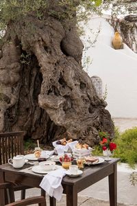 MASSERIA IL MELOGRANO - Monopoli (Bari)  - Asta Asta a tempo AIRC - Associazione Nazionale - Case d'Asta italiane