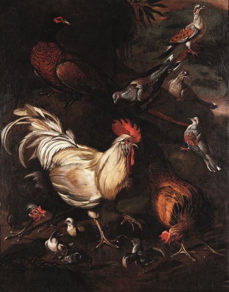 Scuola del XVIII secolo Nature vive con selvaggina e animali da cortile  - Asta Dimore italiane - Associazione Nazionale - Case d'Asta italiane