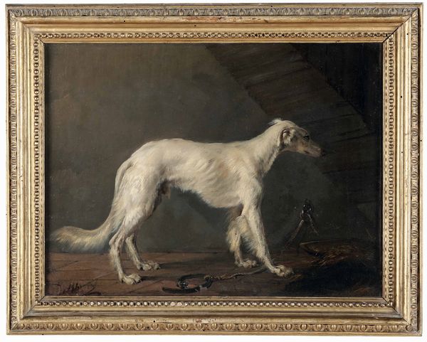 De Albertis Cani  - Asta Dimore italiane - Associazione Nazionale - Case d'Asta italiane