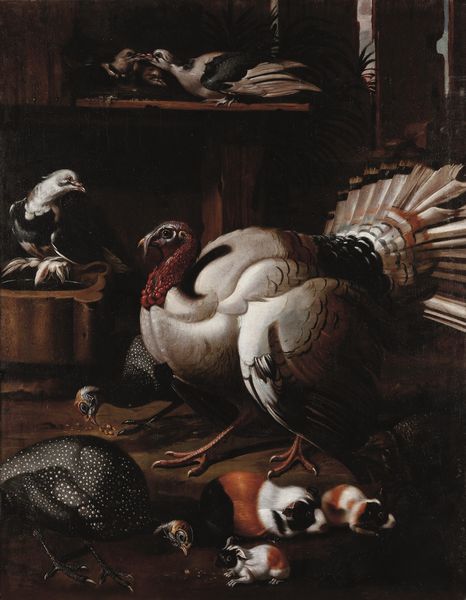 Scuola del XVIII secolo Nature vive con selvaggina e animali da cortile  - Asta Dimore italiane - Associazione Nazionale - Case d'Asta italiane