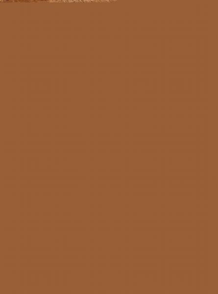 MARIO CEROLI : Profili  - Asta Arte Moderna e Contemporanea - Associazione Nazionale - Case d'Asta italiane