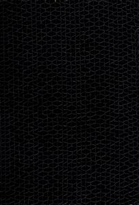 Bruno Caraceni - Labirinto nero