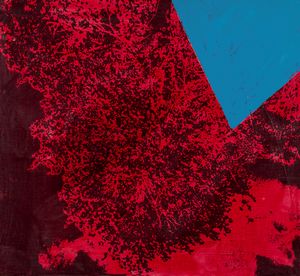 TANO FESTA - Senza titolo