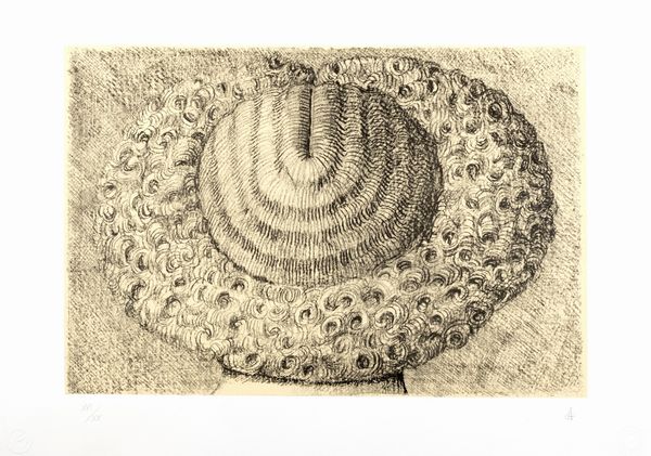 Domenico Gnoli : Indfrisable (d'aprs)  - Asta Grafica internazionale e multipli d'autore - Associazione Nazionale - Case d'Asta italiane