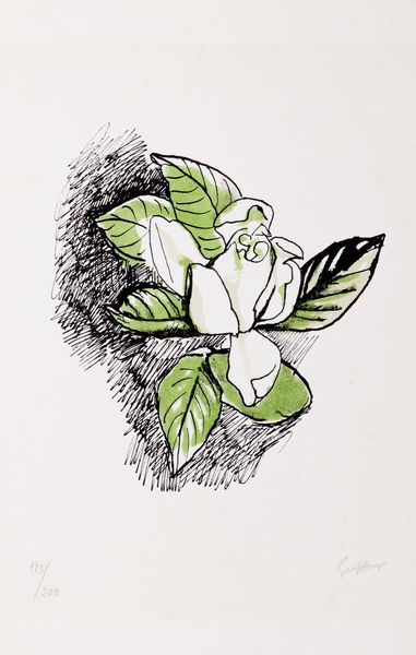 Renato Guttuso : Rosa bianca  - Asta Grafica internazionale e multipli d'autore - Associazione Nazionale - Case d'Asta italiane