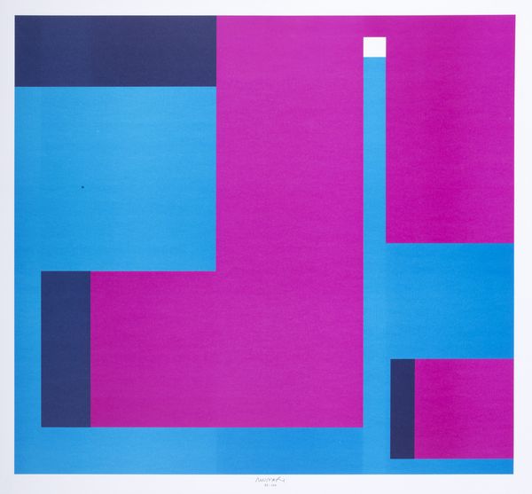 BRUNO MUNARI : Negativo - positivo  - Asta Grafica internazionale e multipli d'autore - Associazione Nazionale - Case d'Asta italiane