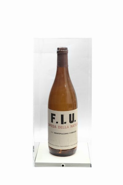 JOSEPH BEUYS : F. I. U. difesa della natura  - Asta Grafica internazionale e multipli d'autore - Associazione Nazionale - Case d'Asta italiane