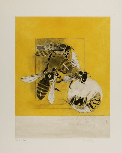 Graham Sutherland : Bees suite  - Asta Grafica internazionale e multipli d'autore - Associazione Nazionale - Case d'Asta italiane