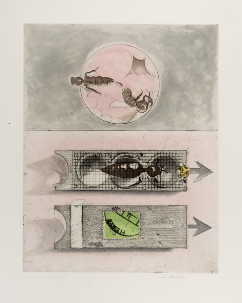 Graham Sutherland : Bees suite  - Asta Grafica internazionale e multipli d'autore - Associazione Nazionale - Case d'Asta italiane