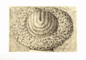 Domenico Gnoli - Indfrisable (d'aprs)