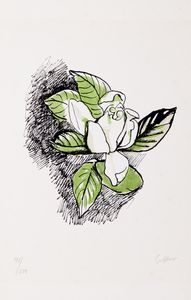 Renato Guttuso - Rosa bianca