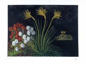 Corrado Cagli - Fiori