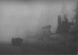 Gualberto Davolio Marani - Passa un carro