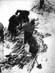 Gualberto Davolio Marani : Lotto composto da due scatti fotografici  - Asta Affordable Photos | Cambi Time - Associazione Nazionale - Case d'Asta italiane