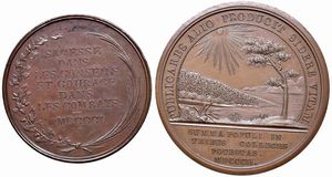 Saggezza nel consiglio, coraggio nel combattimento 1801 op. K & K gr. 29,6 mm. 38; Costituzione della Repubblica Italiana 1802 op. George gr. 47,60 mm. 45  - Asta Medaglie napoleoniche, monete toscane di grande modulo. Aurea: monete e medaglie d'oro - Associazione Nazionale - Case d'Asta italiane