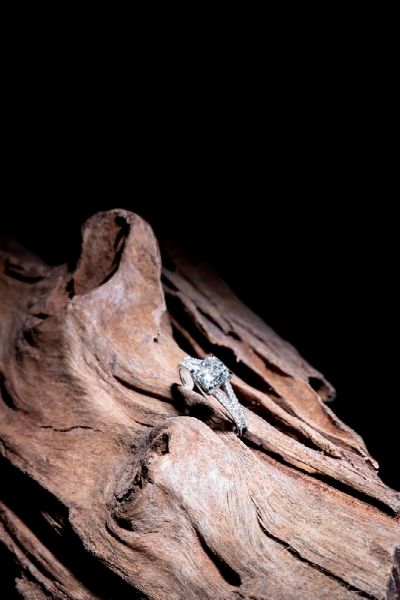 Anello in oro bianco e diamanti  - Asta Gioielli e Orologi - Associazione Nazionale - Case d'Asta italiane