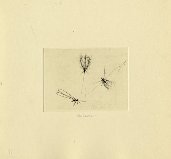 Guido Strazza : Insetti.  - Asta Arte antica, moderna e contemporanea - Associazione Nazionale - Case d'Asta italiane