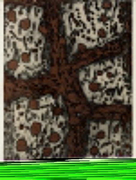 Antonio Zoran Music : Terre Dalmates.  - Asta Arte antica, moderna e contemporanea - Associazione Nazionale - Case d'Asta italiane