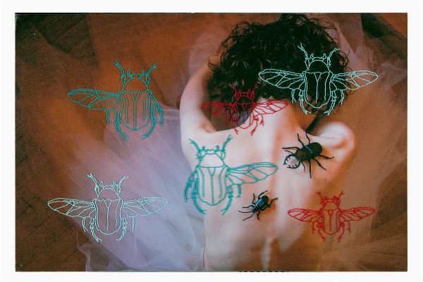 MERI CIUCHI : Senza aprire le ali.  - Asta Arte antica, moderna e contemporanea - Associazione Nazionale - Case d'Asta italiane