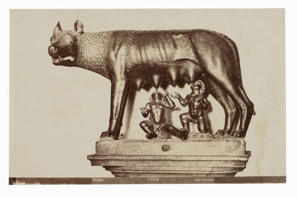 Lotto di dodici fotografie di autori vari: vedute di Roma.  - Asta Fotografie storiche - Associazione Nazionale - Case d'Asta italiane