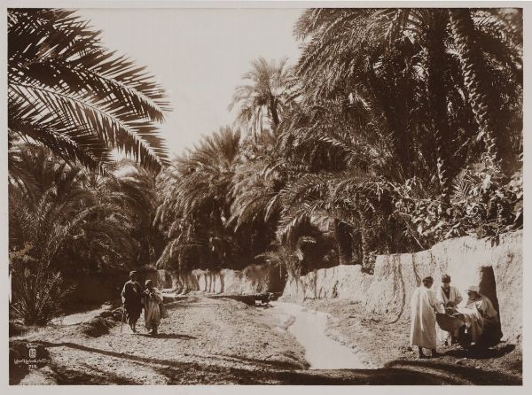 LEHNERT & LANDROCK : Tunisia. Scena di vita quotidiana in un'oasi.  - Asta Fotografie storiche - Associazione Nazionale - Case d'Asta italiane