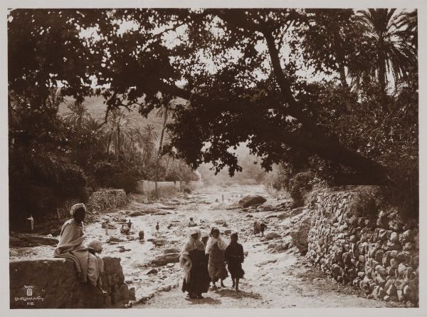LEHNERT & LANDROCK : Tunisia. Veduta di oasi con donne e bambini nei pressi di un ruscello.  - Asta Fotografie storiche - Associazione Nazionale - Case d'Asta italiane