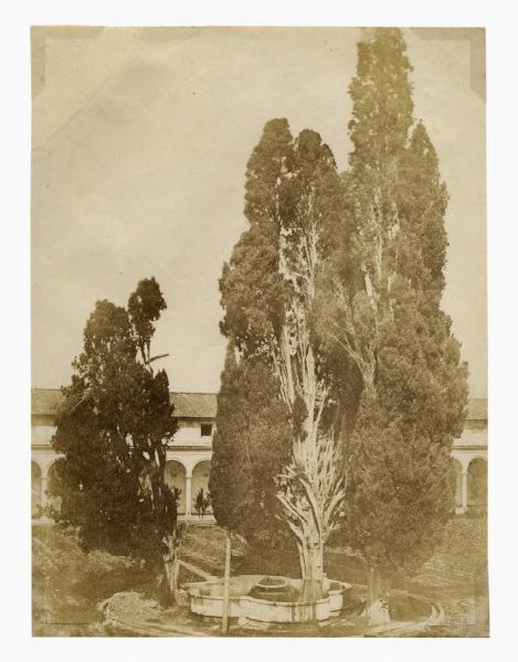 GIACOMO CANEVA : Roma. Cipressi di Michelangelo (Chiostro della chiesa di Santa Maria degli Angeli).  - Asta Fotografie storiche - Associazione Nazionale - Case d'Asta italiane
