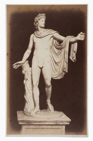 TOMMASO CUCCIONI : Roma. Musei Vaticani. Apollo del Belvedere.  - Asta Fotografie storiche - Associazione Nazionale - Case d'Asta italiane