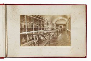 EUFRASIO MAURI : Album 'Pompei', con 48 fotografie.  - Asta Fotografie storiche - Associazione Nazionale - Case d'Asta italiane