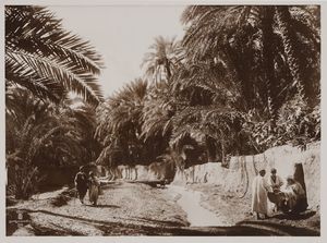 LEHNERT & LANDROCK - Tunisia. Scena di vita quotidiana in un'oasi.