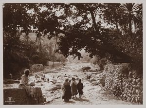 LEHNERT & LANDROCK - Tunisia. Veduta di oasi con donne e bambini nei pressi di un ruscello.