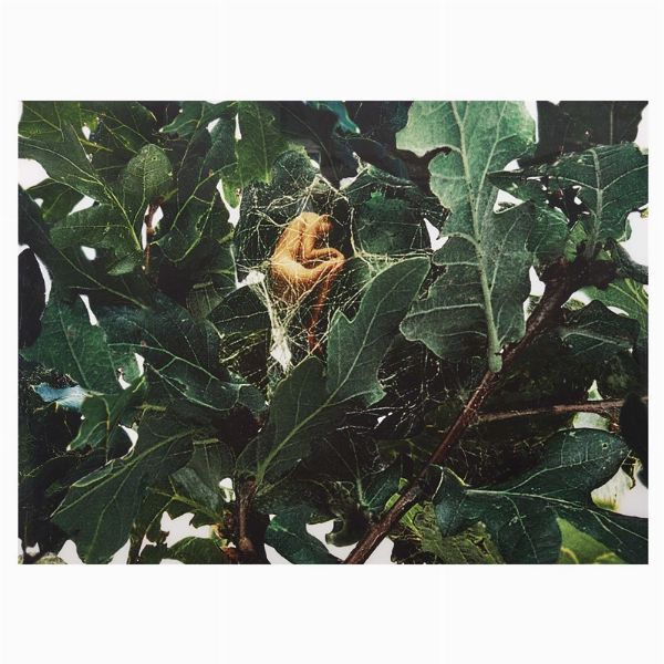 MADDALENA AMBROSIO  - Asta Arte Moderna e Contemporanea - Associazione Nazionale - Case d'Asta italiane