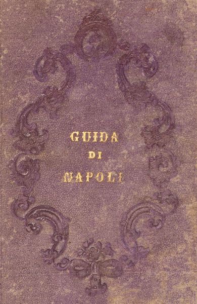 Carlo Tito Dalbono : Nuova guida di Napoli e dintorni (sistema misto)  - Asta Libri, autografi e stampe - Associazione Nazionale - Case d'Asta italiane