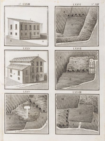 Luigi Piccoli : Le servit� prediali sanzionate dal codice Napoleone ridotte in casi pratici incisi in rame corredate d�annotazioni desunte dalle leggi romane e da classici autori  - Asta Libri, autografi e stampe - Associazione Nazionale - Case d'Asta italiane