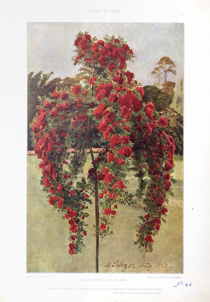 Modelli d'arte decorativa  - Asta Libri, autografi e stampe - Associazione Nazionale - Case d'Asta italiane