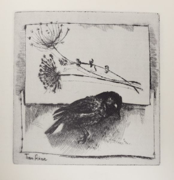 Tino Aime' : Caro Tino. Lettere a un amico pittore.  - Asta Libri, autografi e stampe - Associazione Nazionale - Case d'Asta italiane