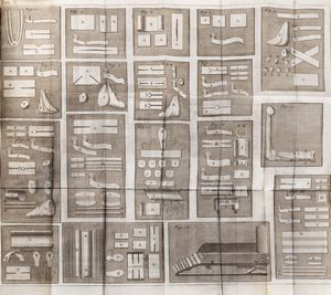 Giovanni Luigi Petit : Trattato de' mali delle ossa, in cui si rappresentano gli apparecchi, e le macchine che convengono alla loro guarigione.  - Asta Libri, autografi e stampe - Associazione Nazionale - Case d'Asta italiane