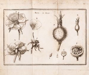 Jean Louis Marie Guillemeau : Histoire naturelle de la rose  - Asta Libri, autografi e stampe - Associazione Nazionale - Case d'Asta italiane